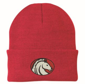 Beenie - Roll Cap