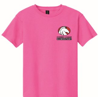 * Youth Unisex Short Sleeve Tee (Pink or Teal)