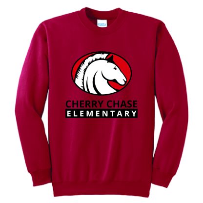 * Youth Crew Neck Sweatshirt