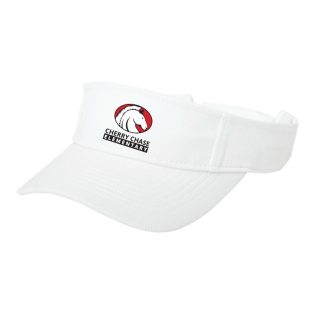 Visor