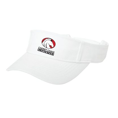 Visor