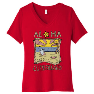 Ladies V-Neck