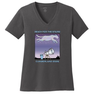 Ladies V-Neck